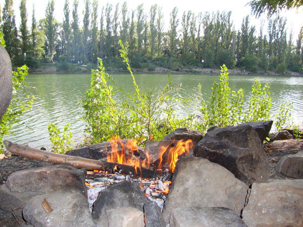 Дмитрий Мисан