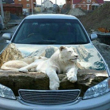 Гульмира Абдулова