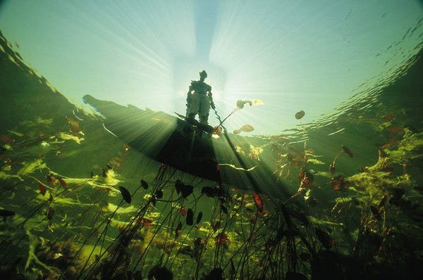 Евгений Фазлы