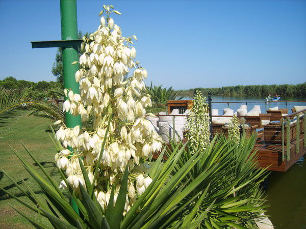 Валентина Гумерова