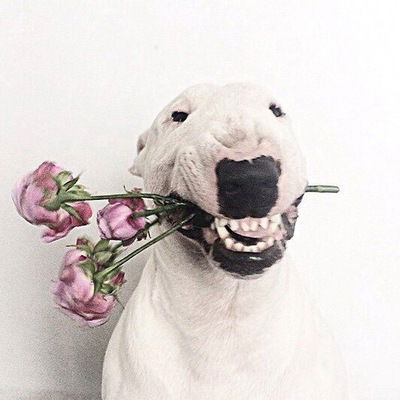 Надежда Голикова