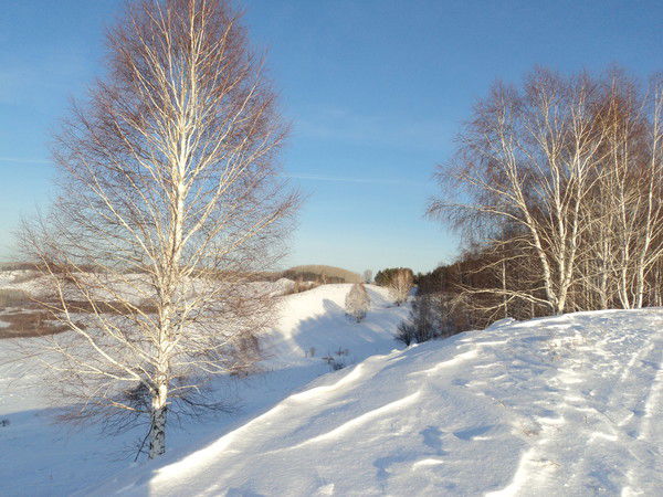 Галина Пикунова
