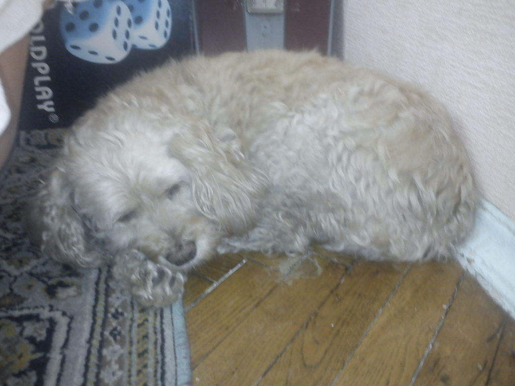 Галина Басаргина