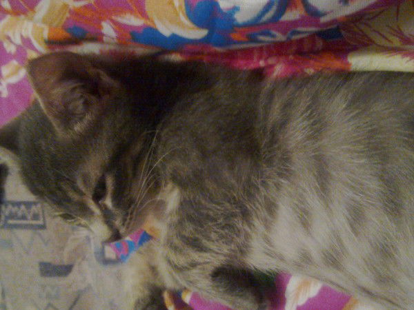 Аистов Олег