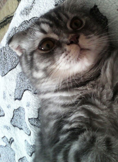 Мария Клюйкова