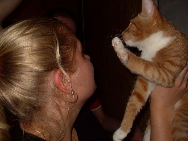 Неизвестно Неизвестно