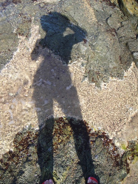 Щепелева Ирина