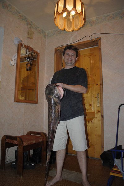 Андрей Ивкин