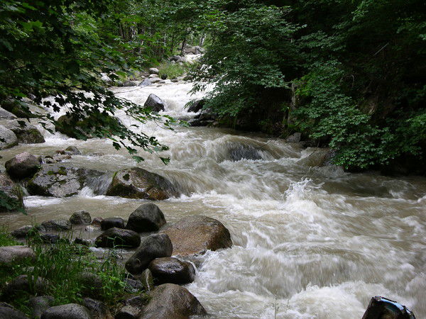 Евгений Подмарьков