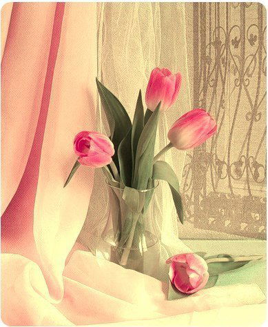 Олеся Мухаметзянова