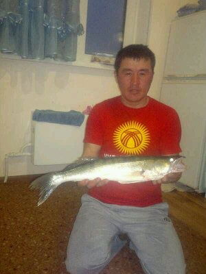 Усон Усенович Усонов