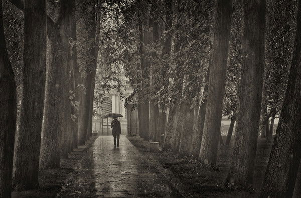 Сильвана Спиридонова