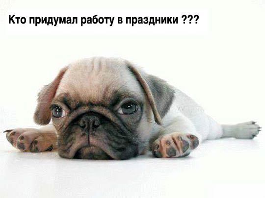 Артур Зарипов