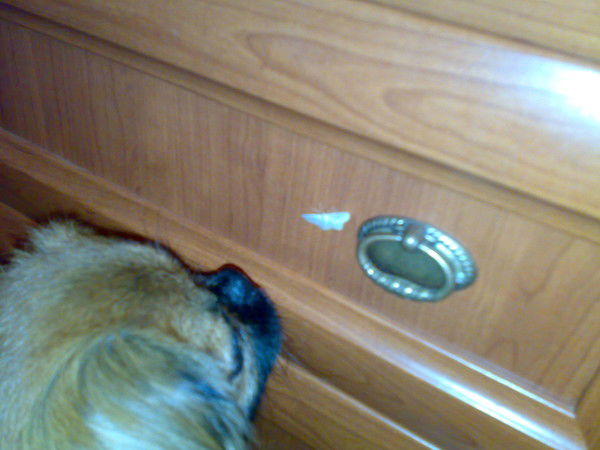 Наталья Зайцева