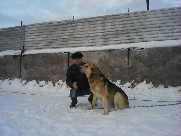 Александр Бурданов