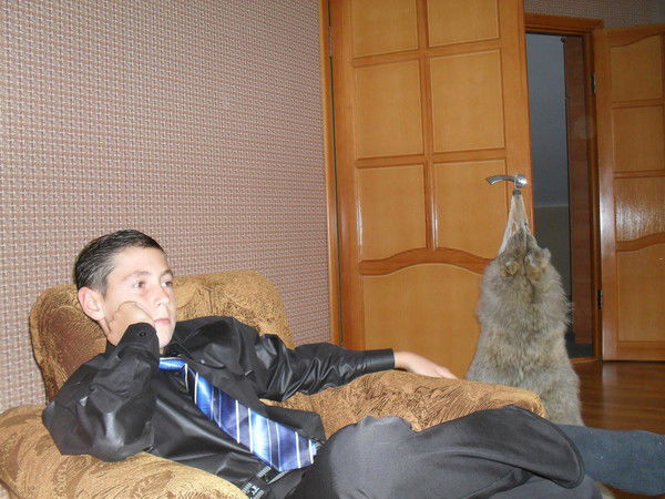 Тимур Курбаналиев