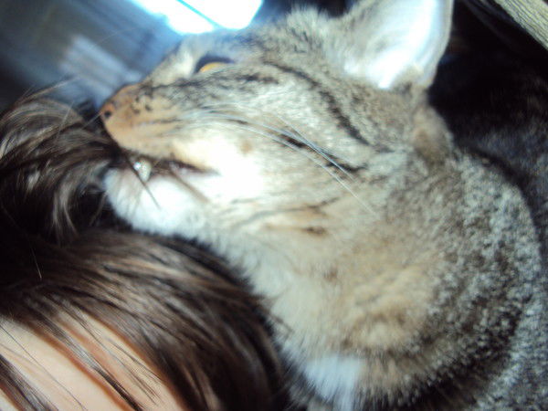 Михаил Михайлов