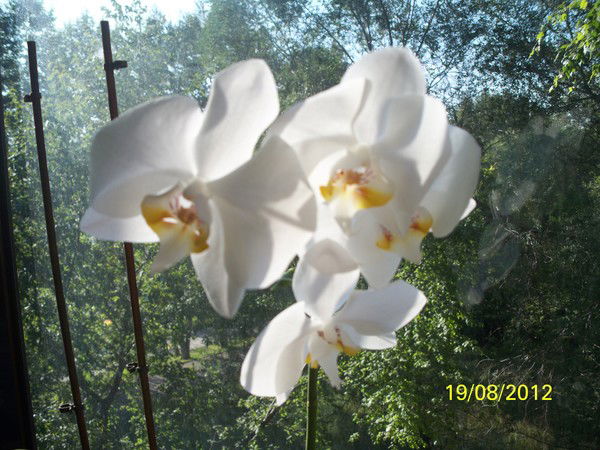 Юлия Брусенцева