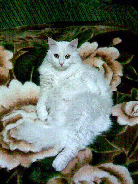 Людмила Бабкова