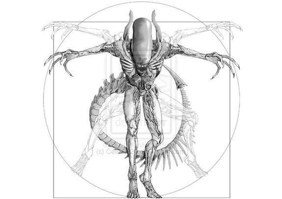 Станислав Р