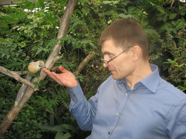 Александр Золотуев