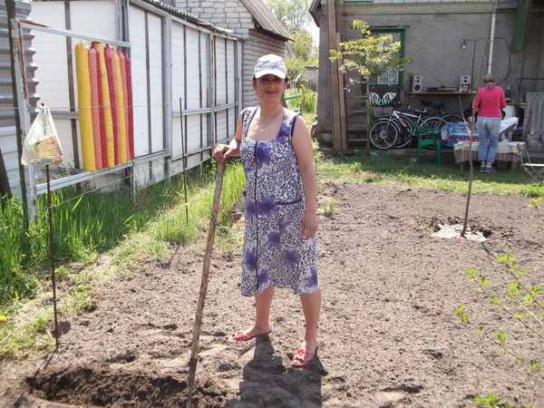 Елена Зябрева