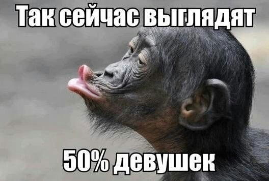 Куаныш Тажибаев