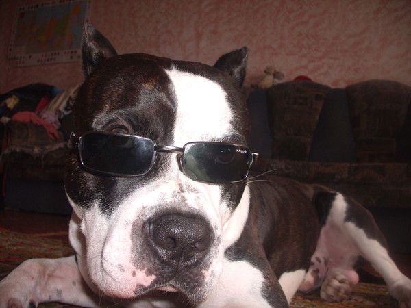 Юрий Вандышев