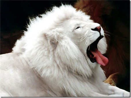 Ольга Кучерова