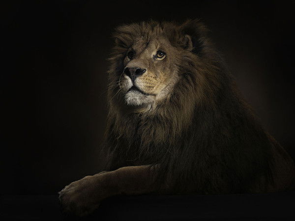 Лева Зайцев