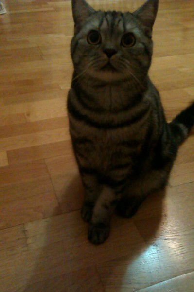 Айсулу Каримова