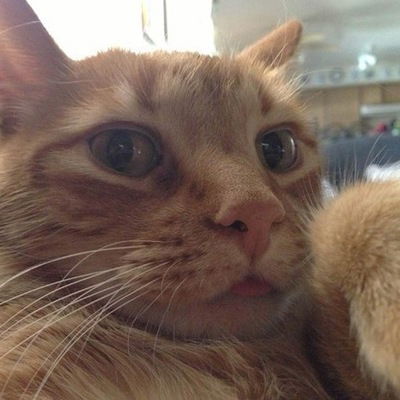 Андрей Ванюков