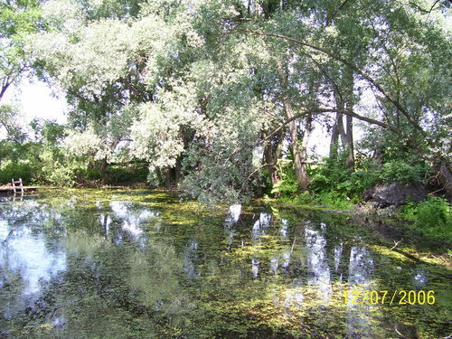 Юлия Юдашкина