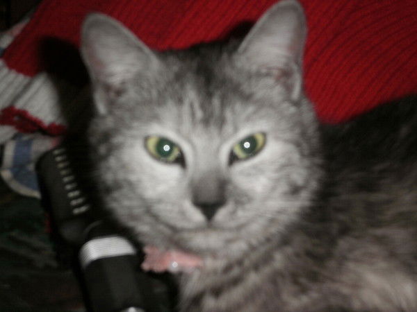 Александр Шкуратов