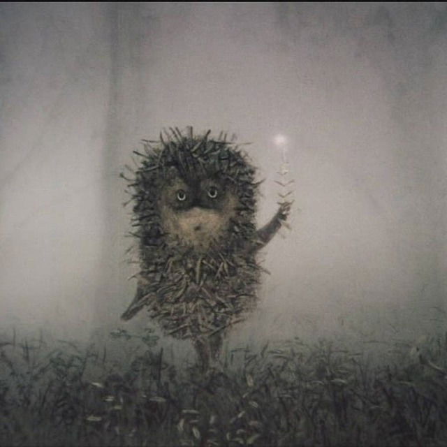 Елена Шалаш