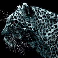 Николай Козлов