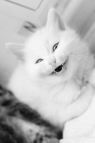 Анжелика Дёмина