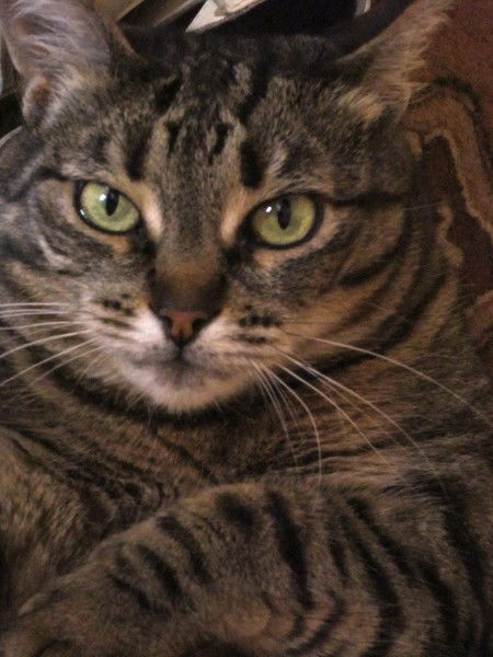 Валентина Карцева