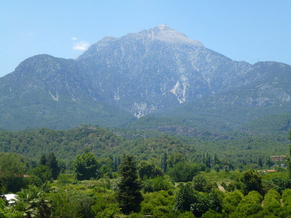 Светлана Мирошникова