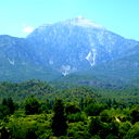 Светлана Мирошникова