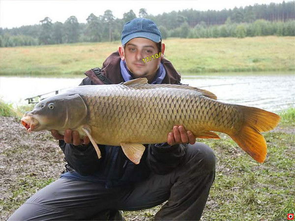 Мирон Шаповалов