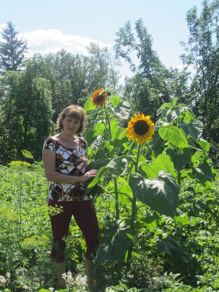 Лена Достовалова