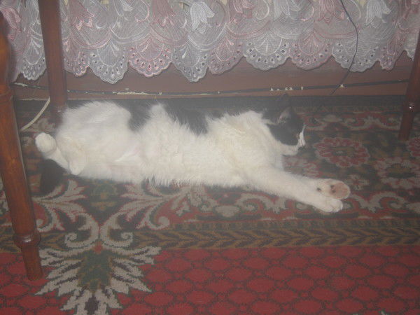 Иван Афанасьев