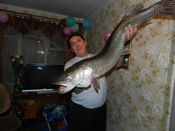 Константин Сухлецов