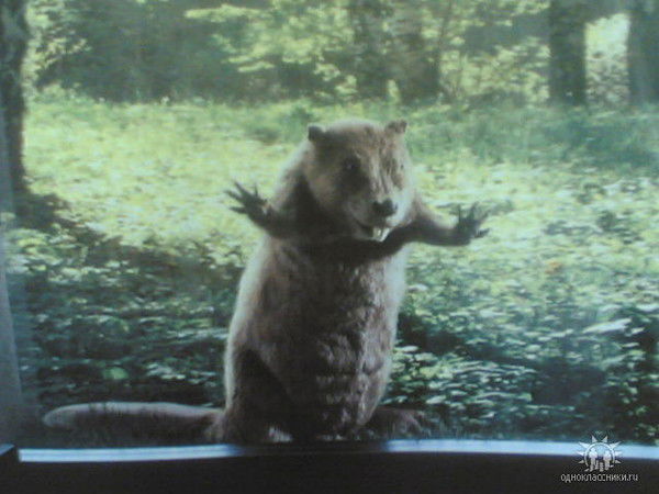 Эрик Картман