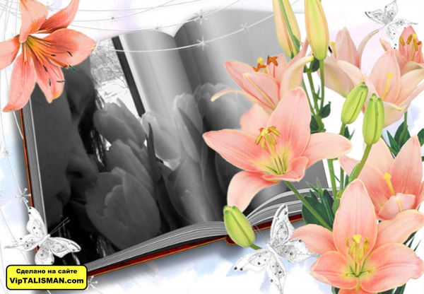 Анна Гунина(Жирухина)