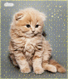 Алексей Шиляев