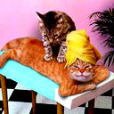 Иван Иванов