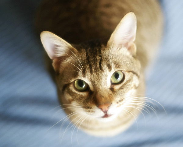 Любовь Кутнякова