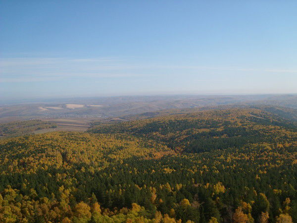 Ваня Петянин